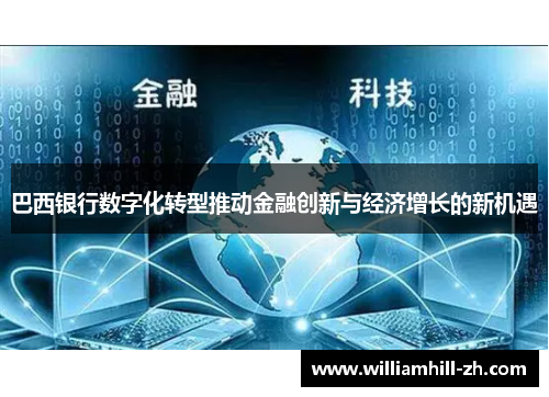 巴西银行数字化转型推动金融创新与经济增长的新机遇
