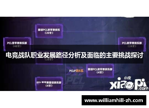 电竞战队职业发展路径分析及面临的主要挑战探讨