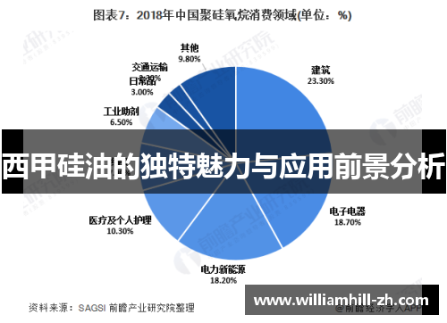 西甲硅油的独特魅力与应用前景分析