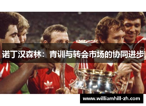 诺丁汉森林：青训与转会市场的协同进步